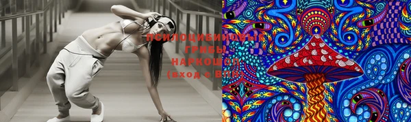 гидропоника Белоозёрский