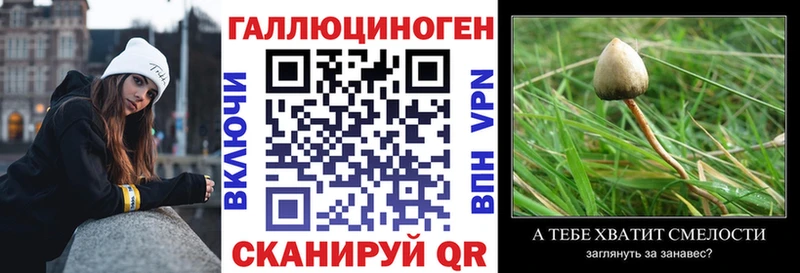 купить наркоту  Тотьма  Галлюциногенные грибы Cubensis 